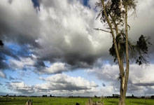 英冠南安普敦vs普雷斯顿最新情况如何？